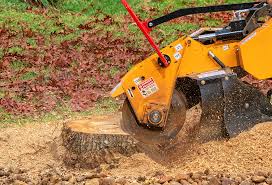Best Lawn Maintenance Plans  in Hawthorne, NY