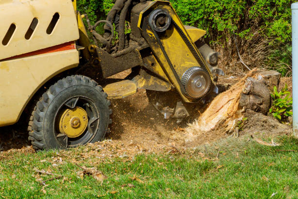 Grass Overseeding in Hawthorne, NY