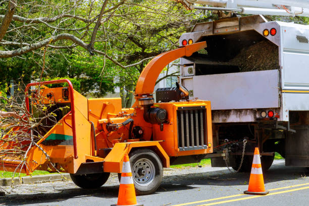 Best Grass Overseeding  in Hawthorne, NY