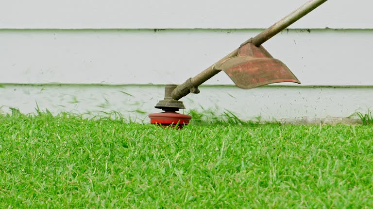 Best Tree Risk Assessment  in Hawthorne, NY
